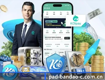 bandao移动端 APP 深度功能介绍