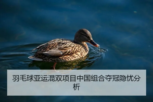 羽毛球亚运混双项目中国组合夺冠隐忧分析